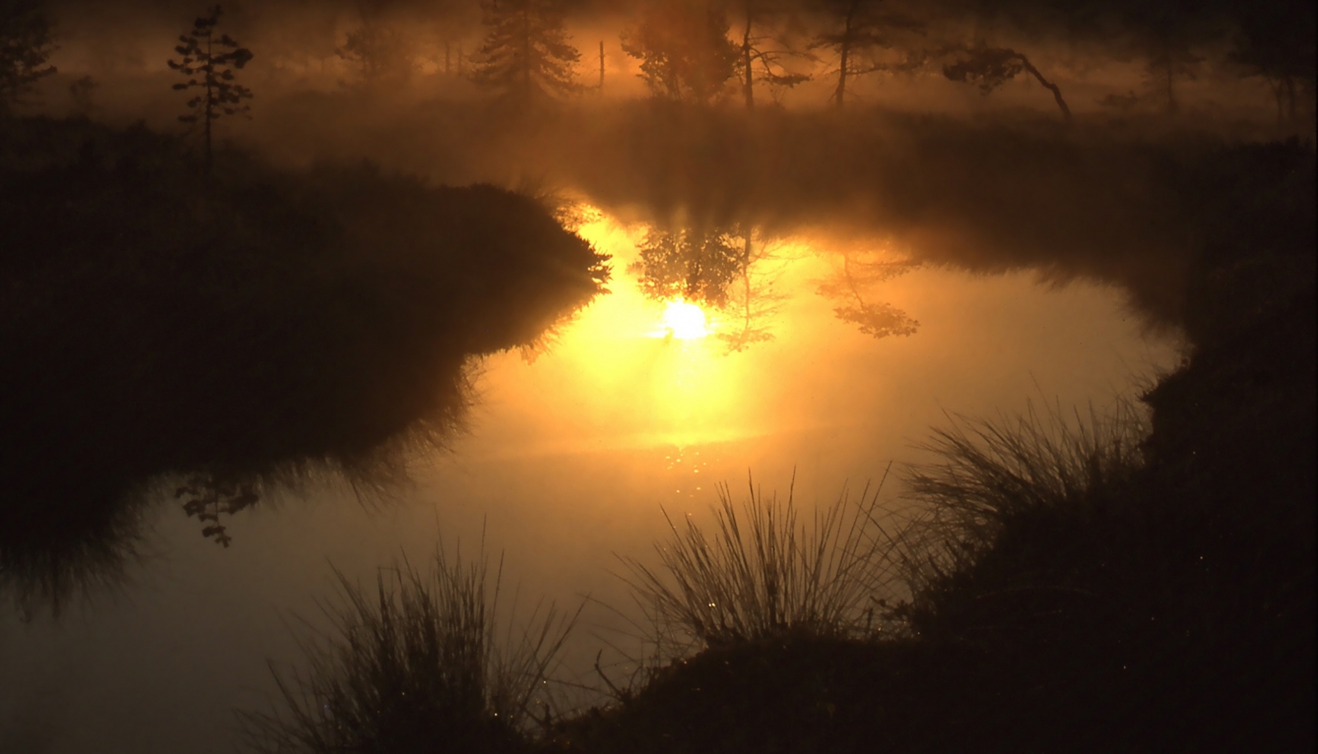 rhoen-schwartes-moor0723_20181205_1345586243