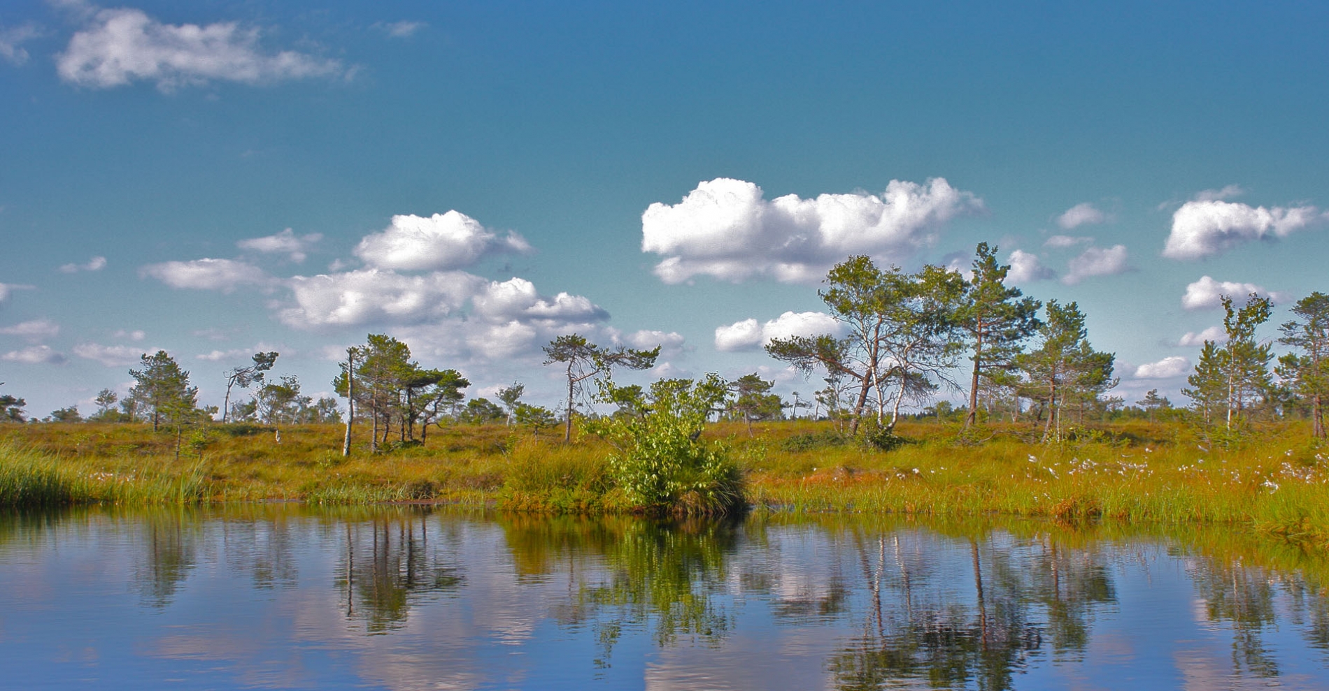 rhoen-schwarzes-moor_0732_20181205_1385860707