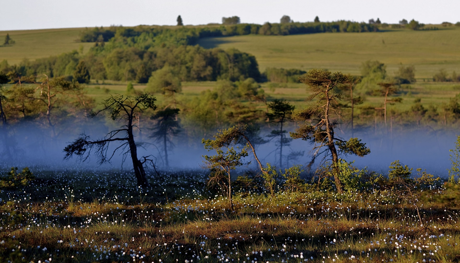 rhoen-schwarzes-moor_0813_20181205_1883491877