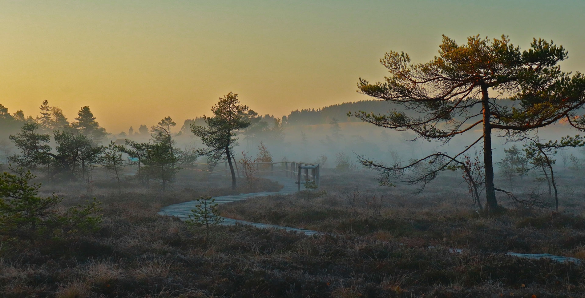 rhoen-schwarzes-moor_3106_20181205_1276492396