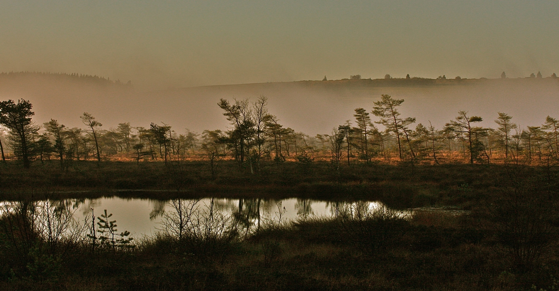 rhoen-schwarzes-moor_4598_20181205_1872592738