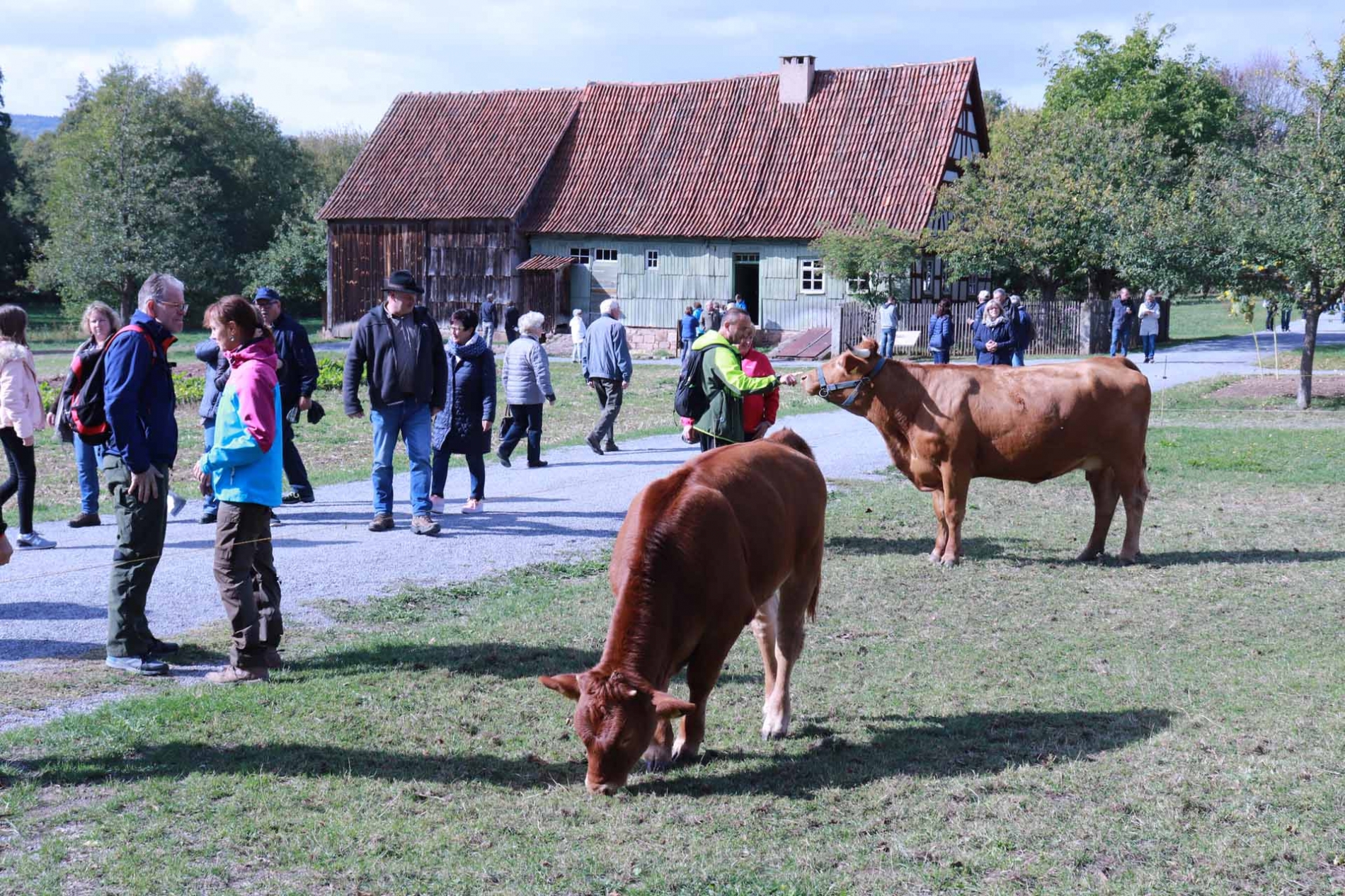 rhoen-herbstfest_9327_20181226_1527054369