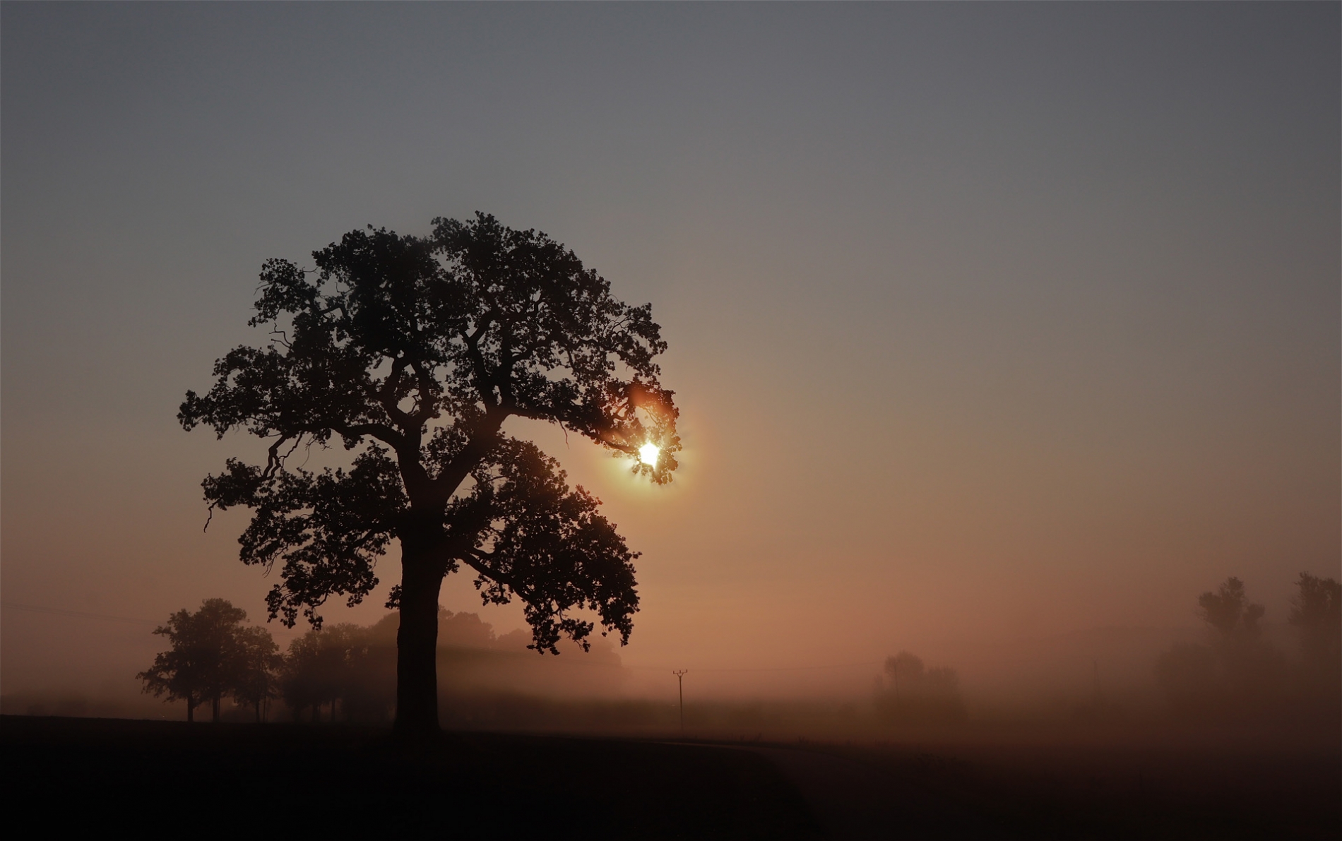 rhoen-eiche_4625_20181220_1065001921