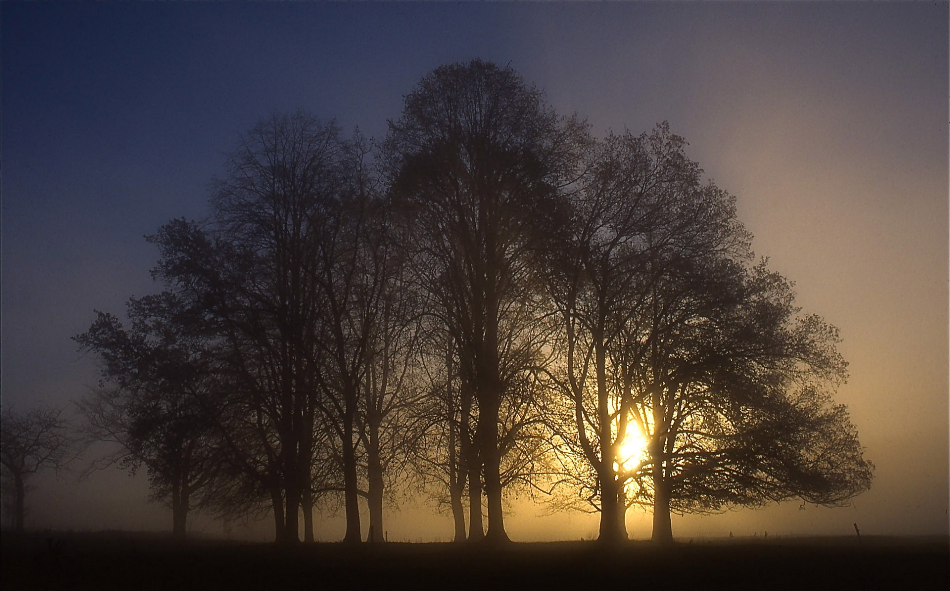 rhoen-kaisereiche_0134_20181219_1361465059