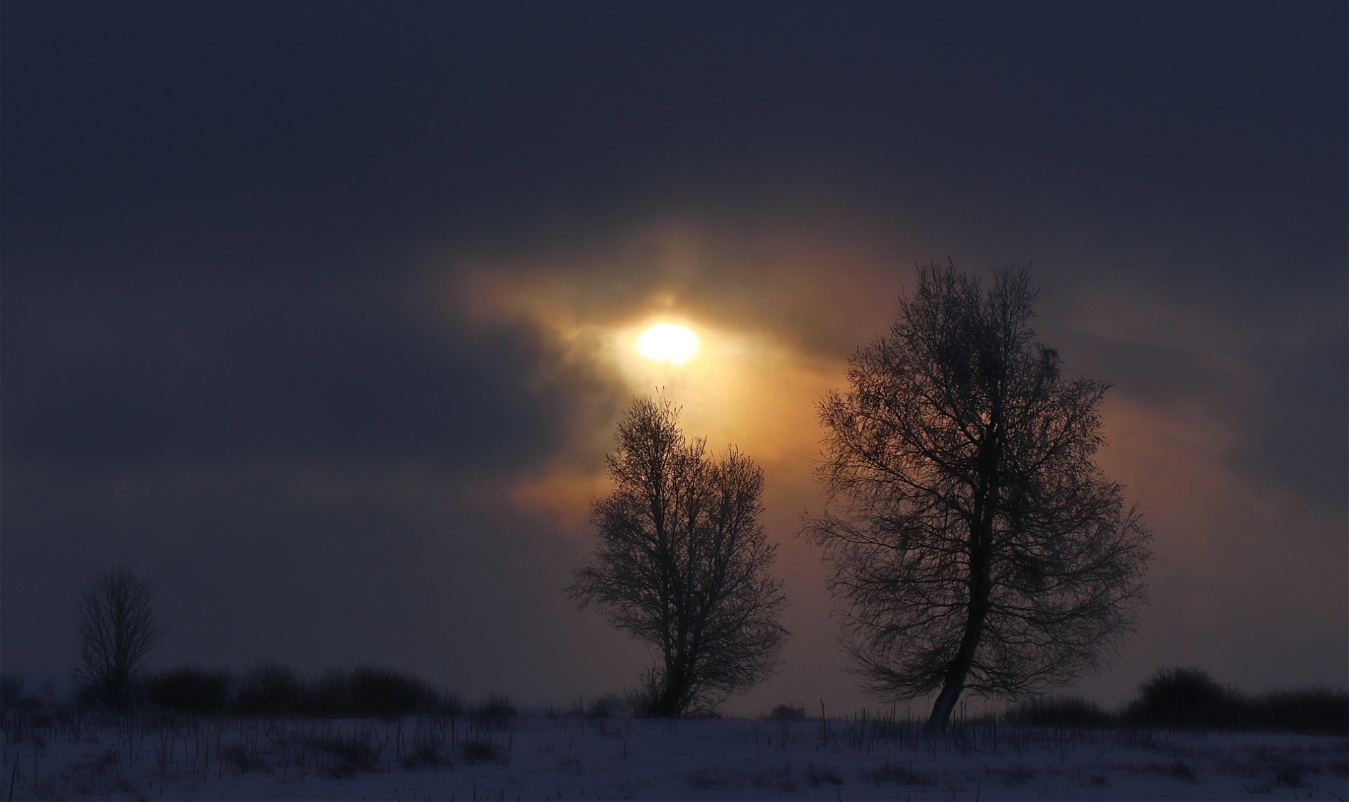 rhoen-karpatenbirken_2520_20181220_1182531156