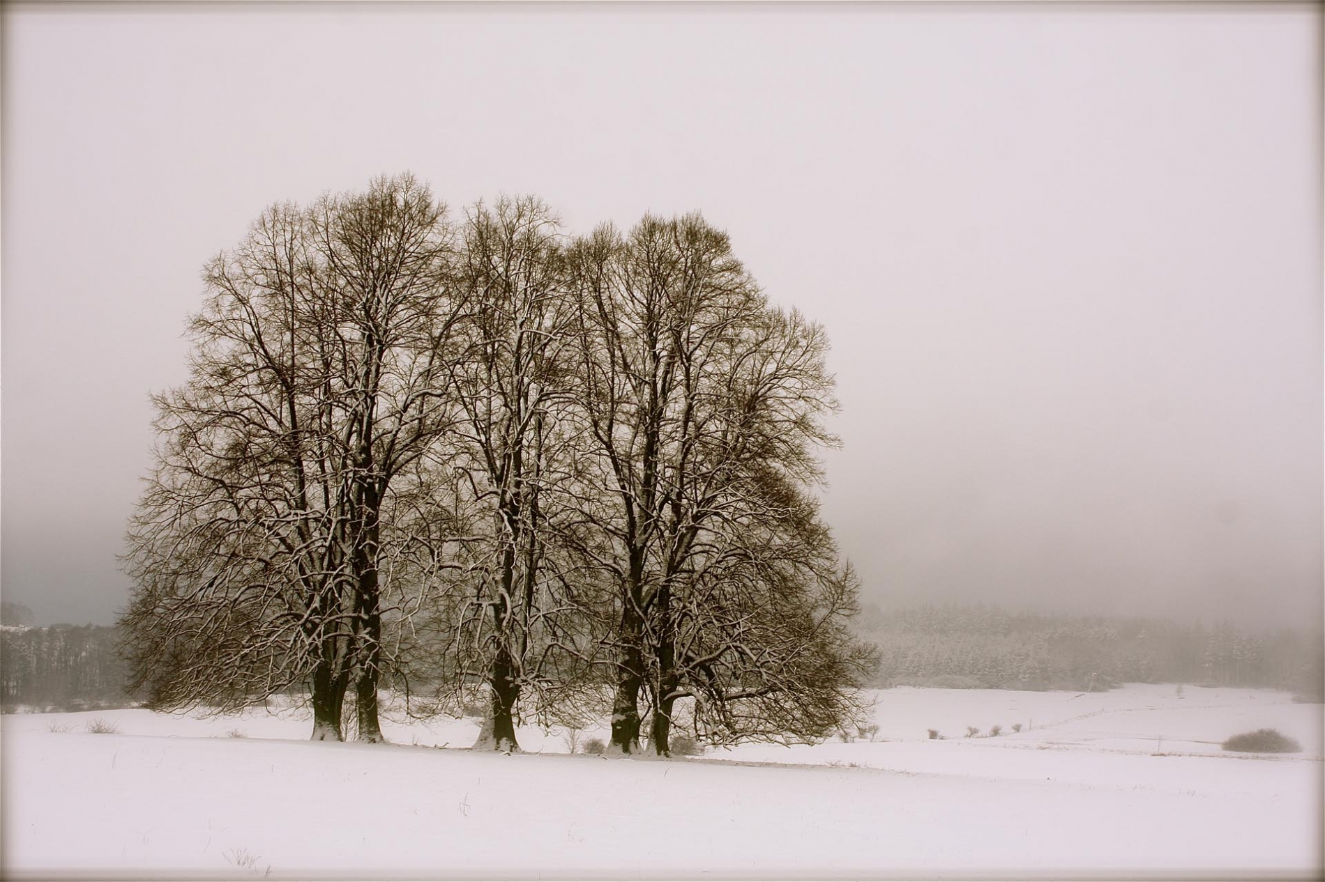 rhoen-linden_0108_20181219_2065601831