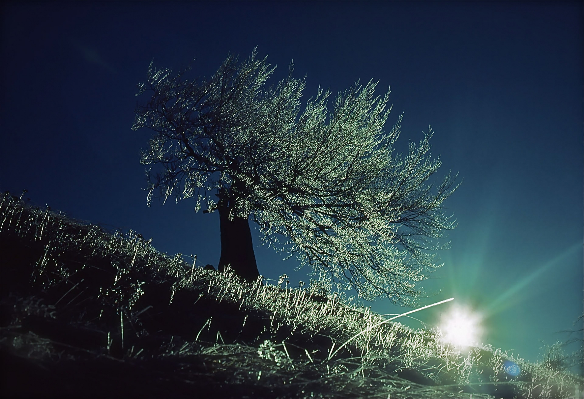 rhoen-rotbuche_0572_20181220_1959067661