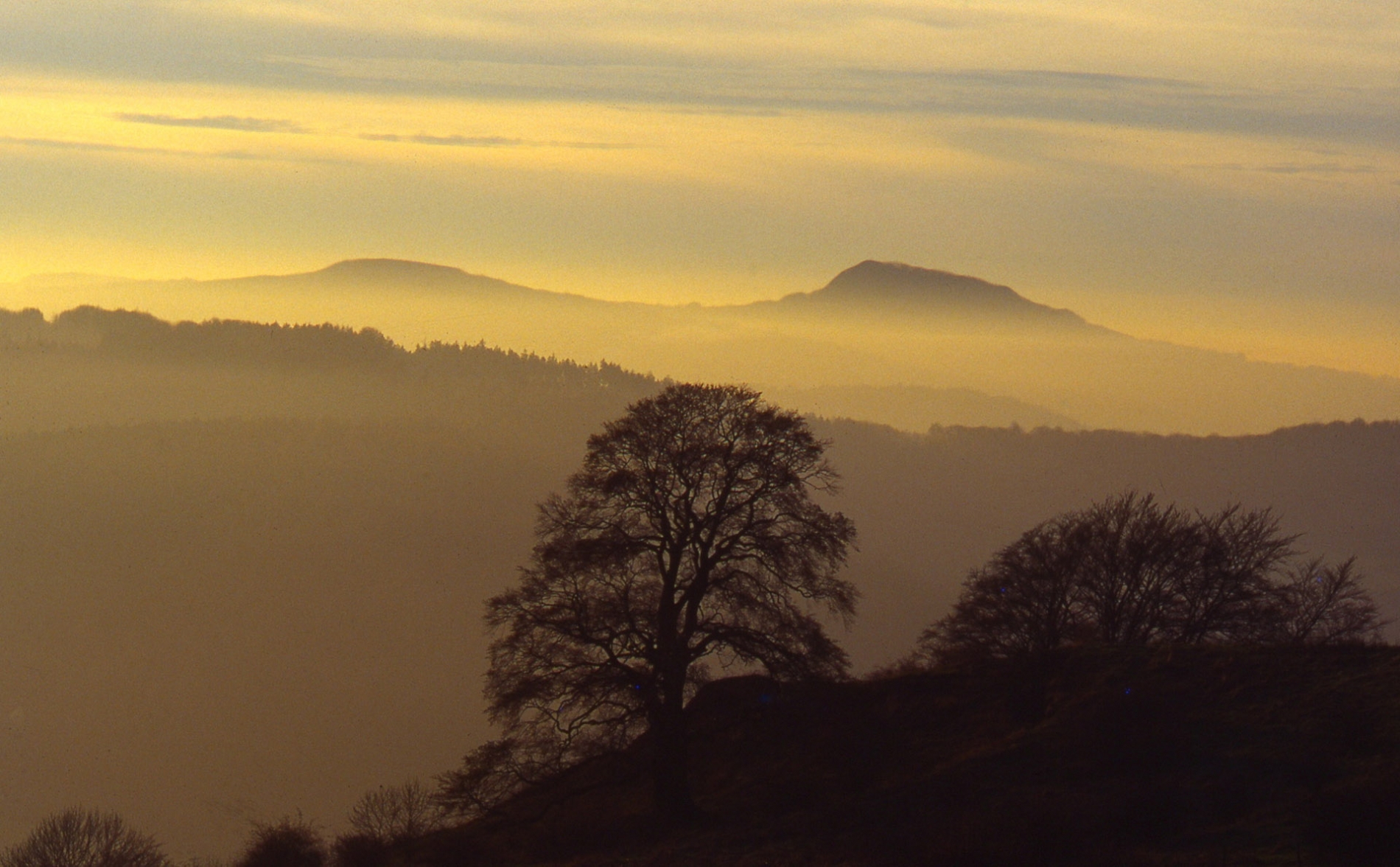 rhoen-rotbuche_0821_20181220_1741387435