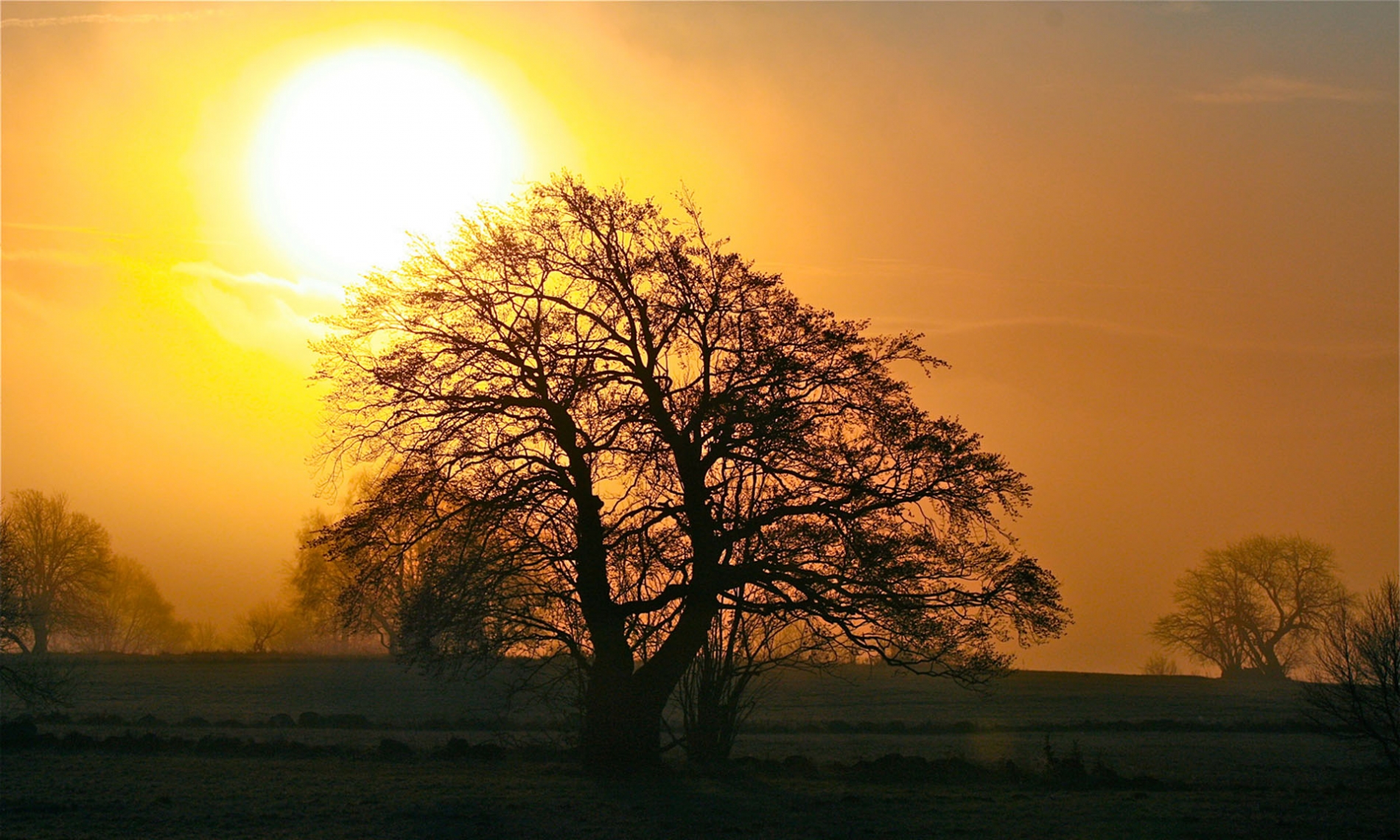 rhoen-rotbuche_2476_20181219_1632663843