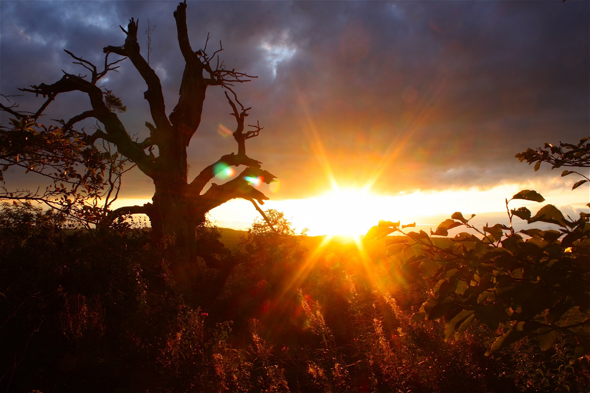 rhoen-rotbuche_3248_20181219_2050925574