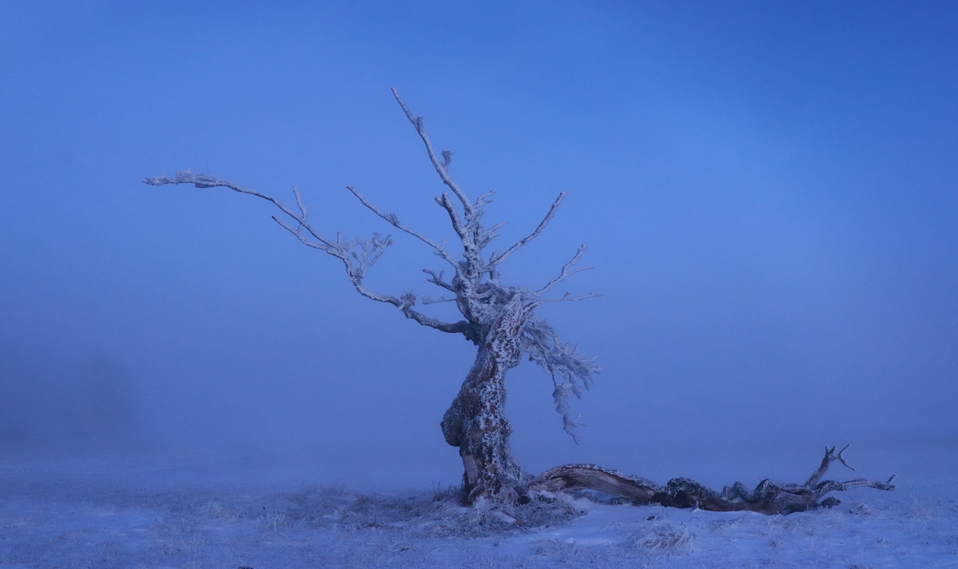 rhoen-rotbuche_6288_20181217_1027437947