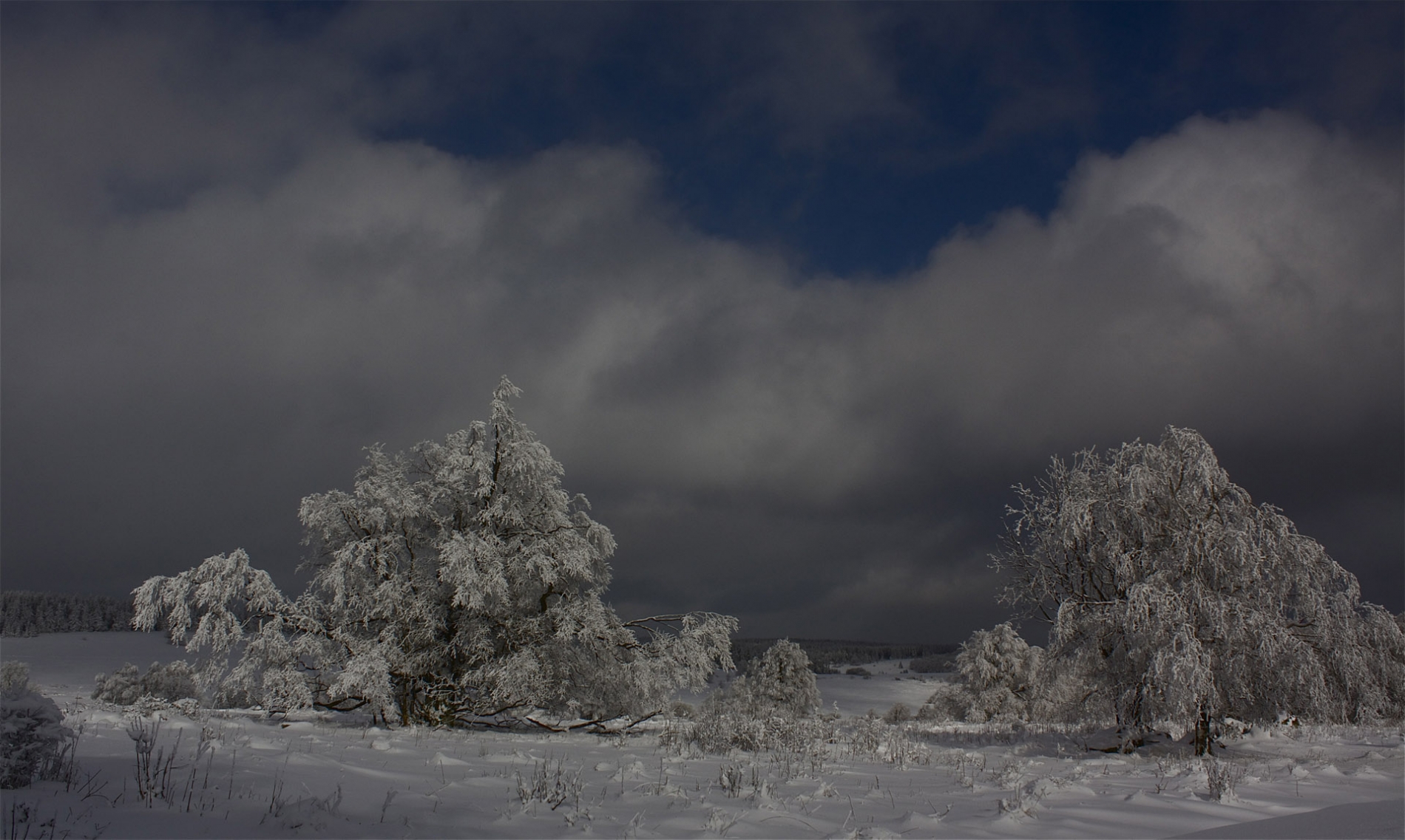 rhoen-rotbuchen_8298_20181220_1126347332