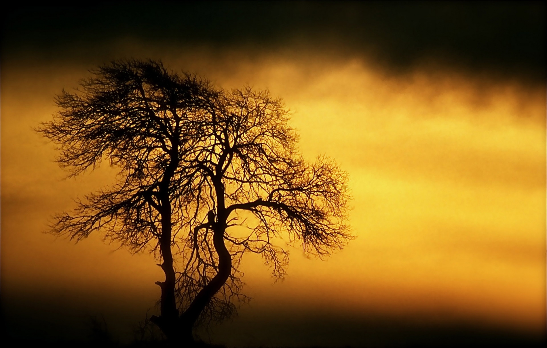 rhoen-saalweide_0139_20181220_2019017678