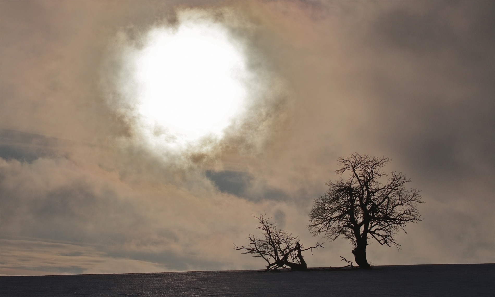 rhoen-saalweide_1464_20181220_1545396273