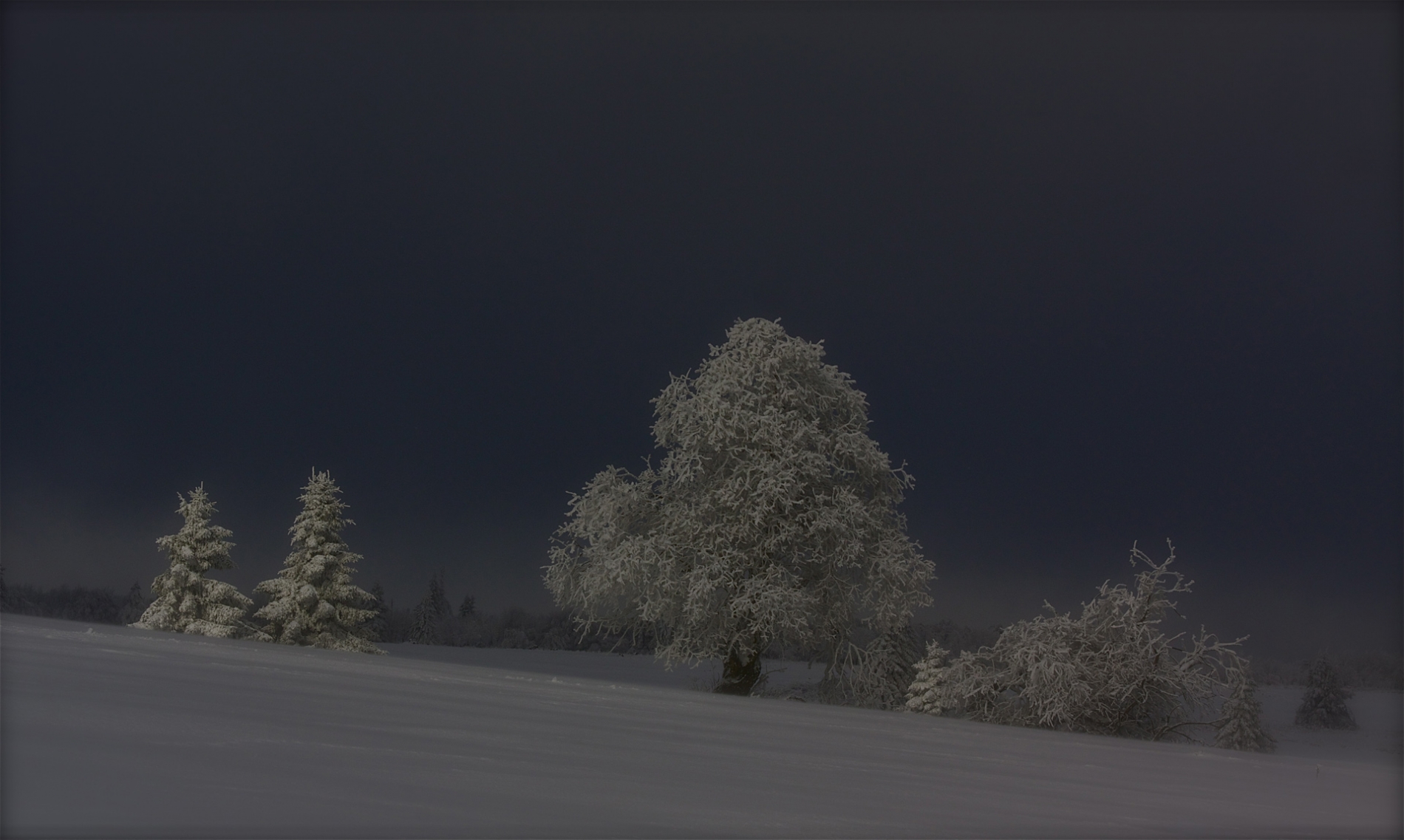 rhoen-saalweide_8272_20181220_1141586729