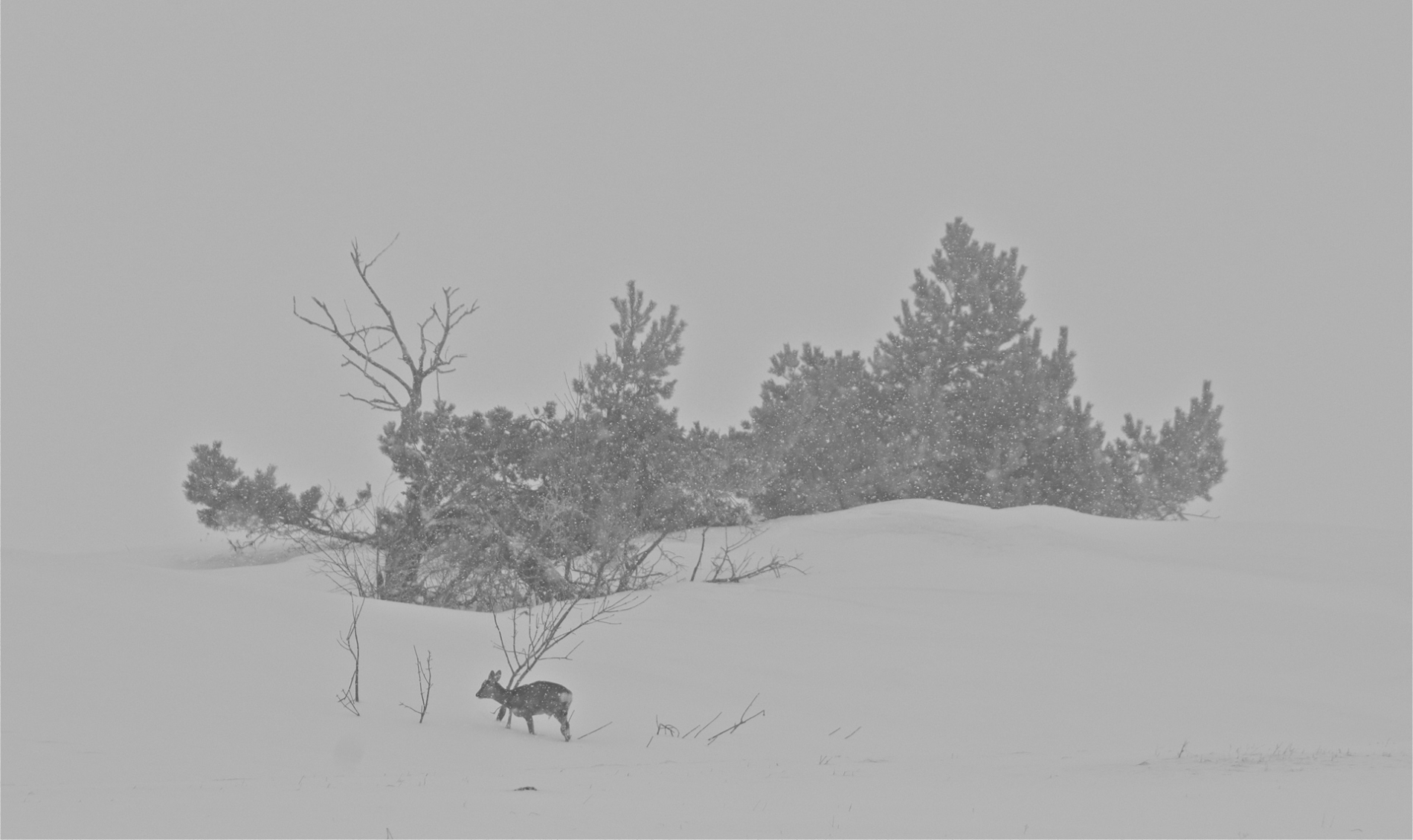 rhoen-reh_5913_20181218_1727693602