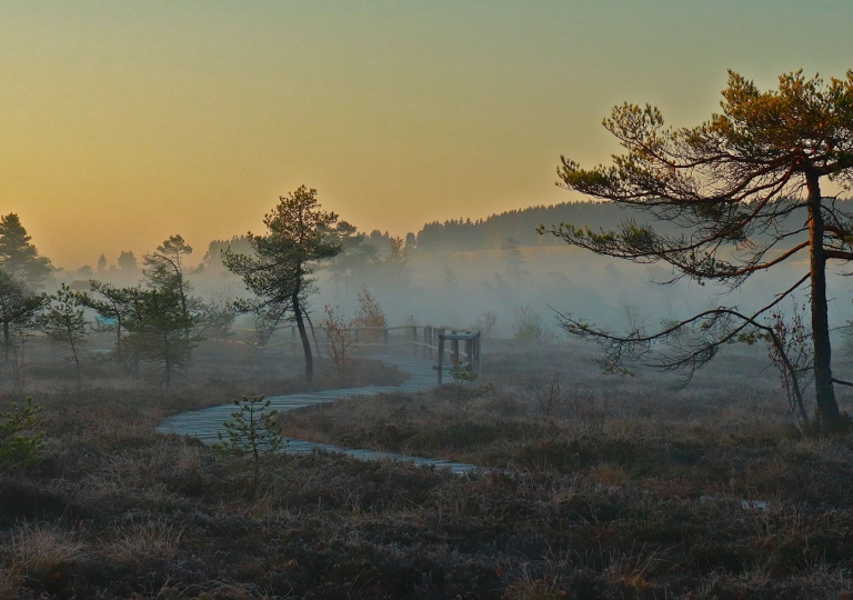 rhoen-schwarzes-moor_3106_20181205_1276492396