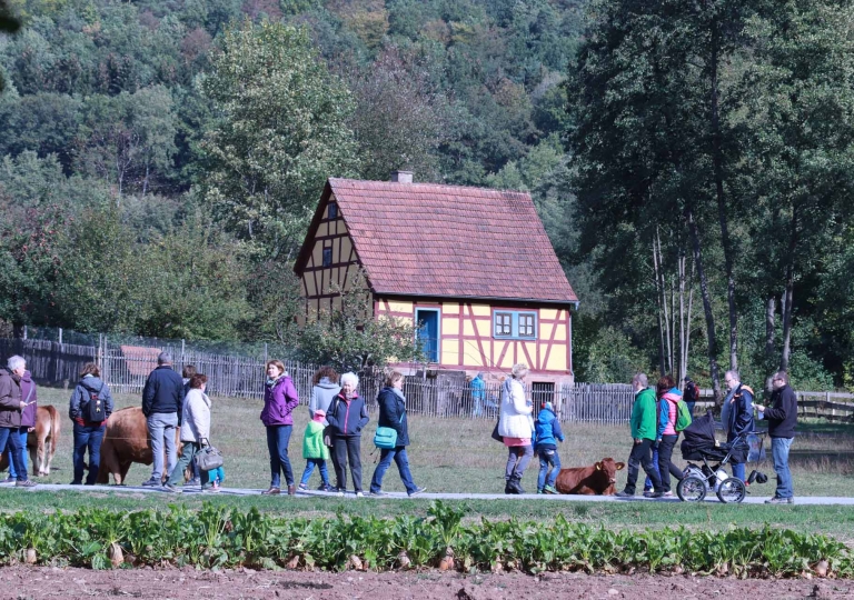 rhoen-herbstfest_9307_20181226_1315627553