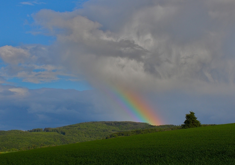 rhoen-thuringen_6881_20181222_1546866934